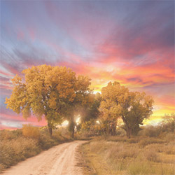 Sunrise CD jacket cover